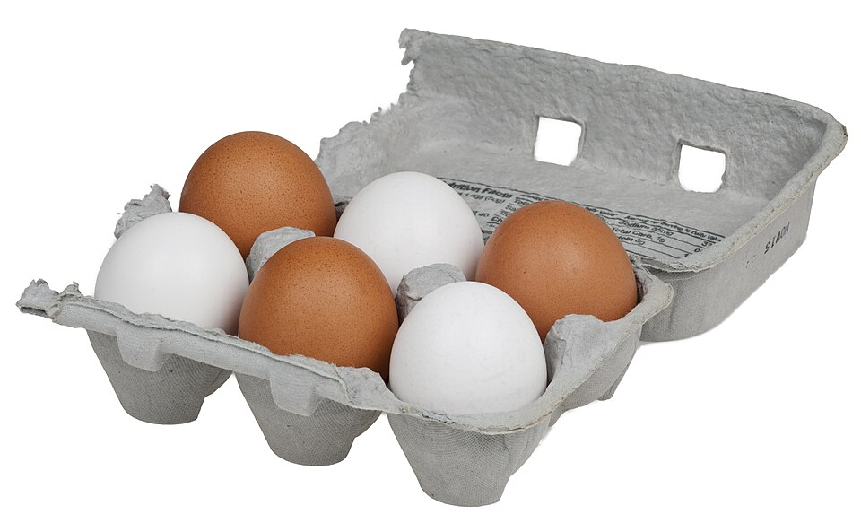 Huevos de campo